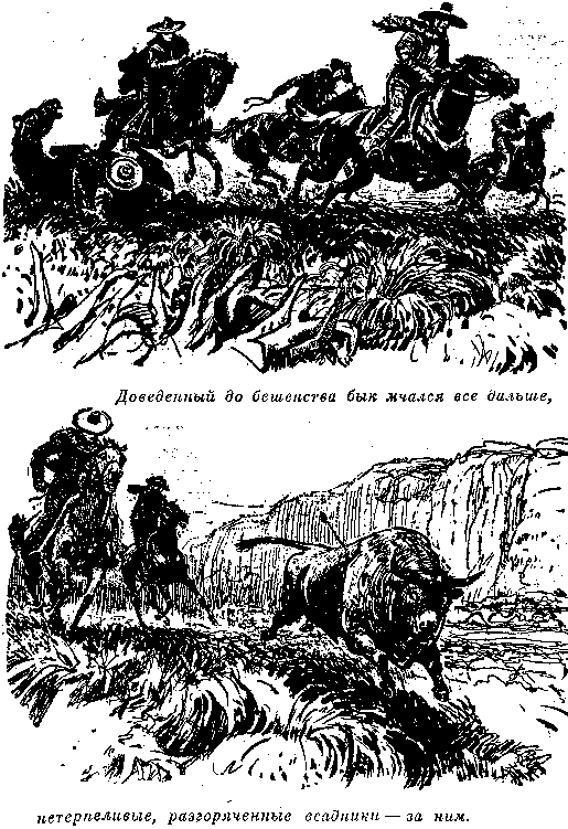 Собрание сочинений, том 1. Белый вождь. Квартеронка. - i_009.png
