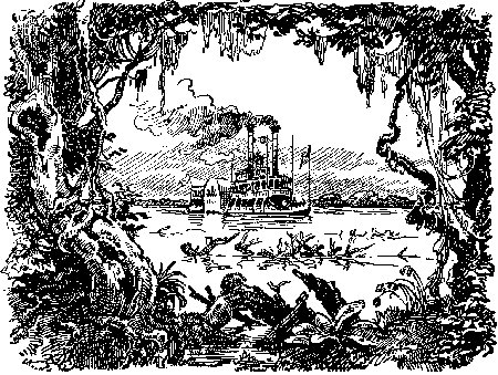 Собрание сочинений, том 1. Белый вождь. Квартеронка. - i_031.png