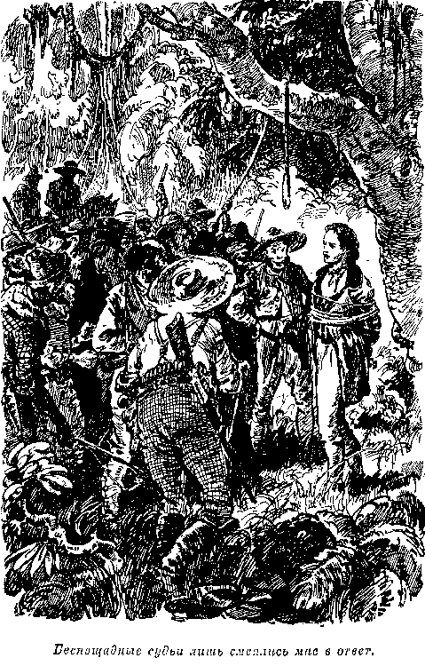Собрание сочинений, том 1. Белый вождь. Квартеронка. - i_051.png