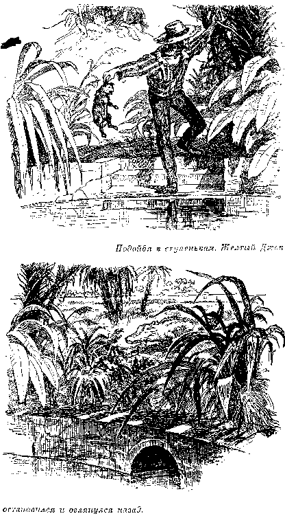 Собрание сочинений, том 2. Оцеола, вождь семинолов. Морской волчонок - i_008.png