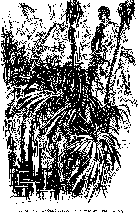 Собрание сочинений, том 2. Оцеола, вождь семинолов. Морской волчонок - i_021.png
