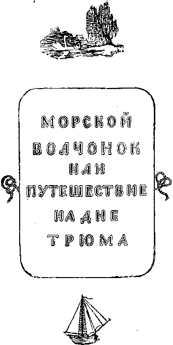 Собрание сочинений, том 2. Оцеола, вождь семинолов. Морской волчонок - i_033.png