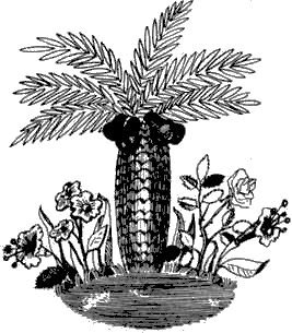 Невидимое дерево - i_024.png