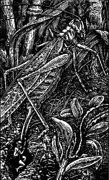 Необыкновенные приключения Карика и Вали - pic_6.png