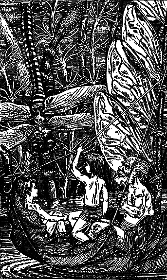 Необыкновенные приключения Карика и Вали - pic_14.png