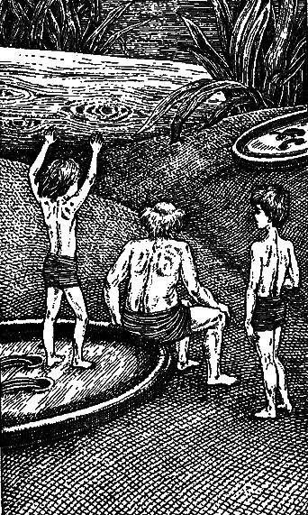 Необыкновенные приключения Карика и Вали - pic_15.png