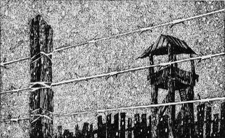 Левая рука тьмы - i_003.jpg