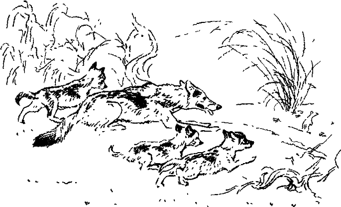 Хозяин небесных гор - i_011.png