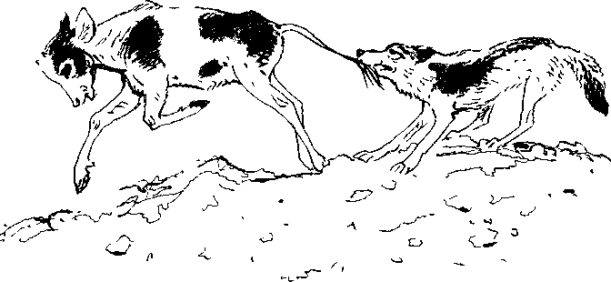 Хозяин небесных гор - i_014.png
