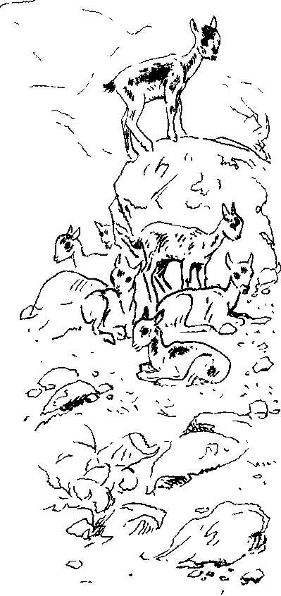 Хозяин небесных гор - i_017.png