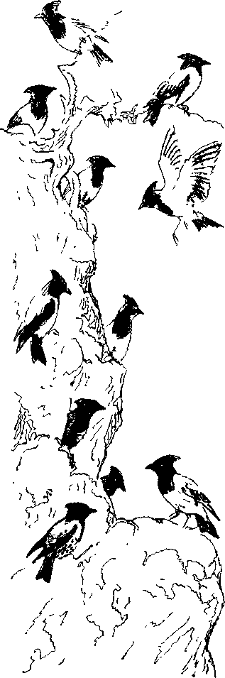 Хозяин небесных гор - i_026.png