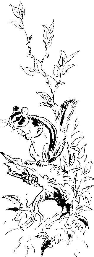 Хозяин небесных гор - i_030.png