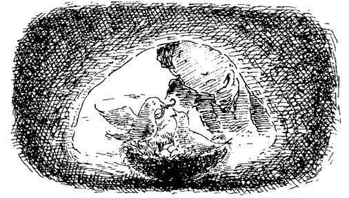 Чучело и его слуга - i_039.jpg