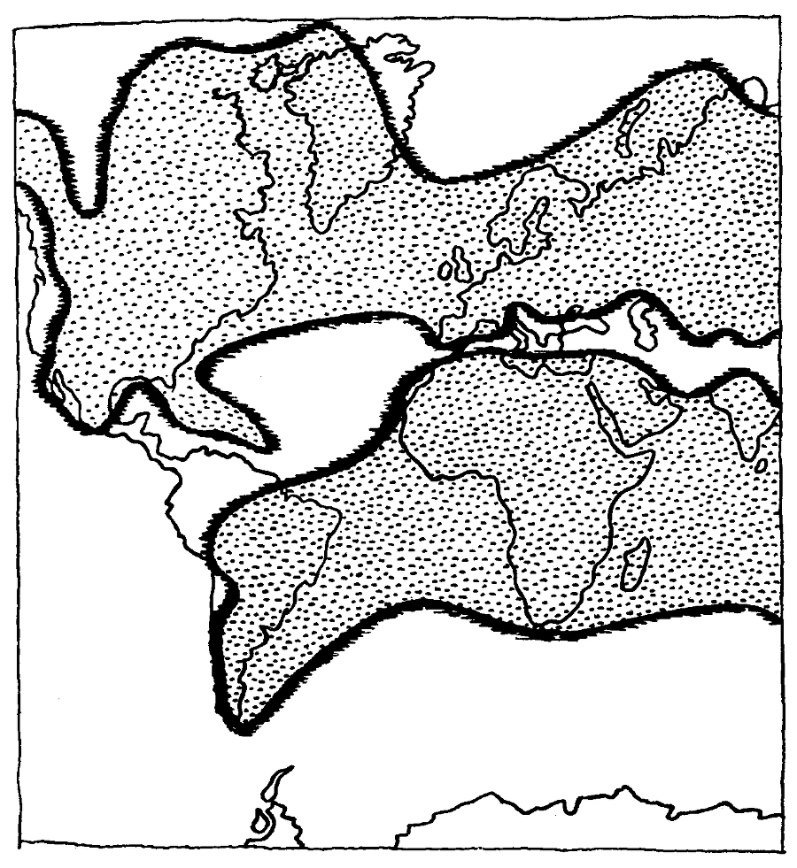 В поисках затерянного мира - pic11.png