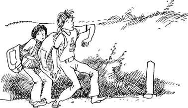Автостопом на север - i_020.png