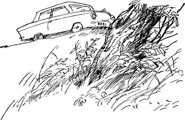Автостопом на север - i_024.png