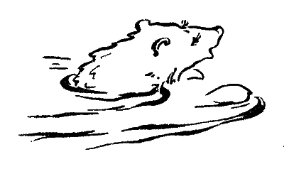 20 000 років під кригою - i_014.png
