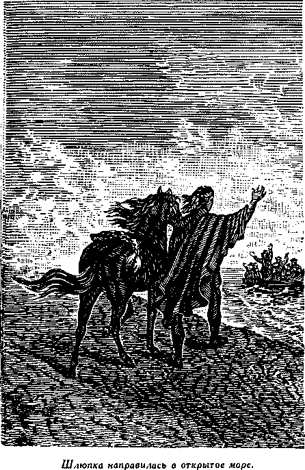 Дети капитана Гранта(изд.1955) - i_026.png