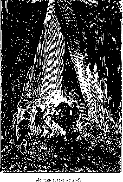 Дети капитана Гранта(изд.1955) - i_046.png