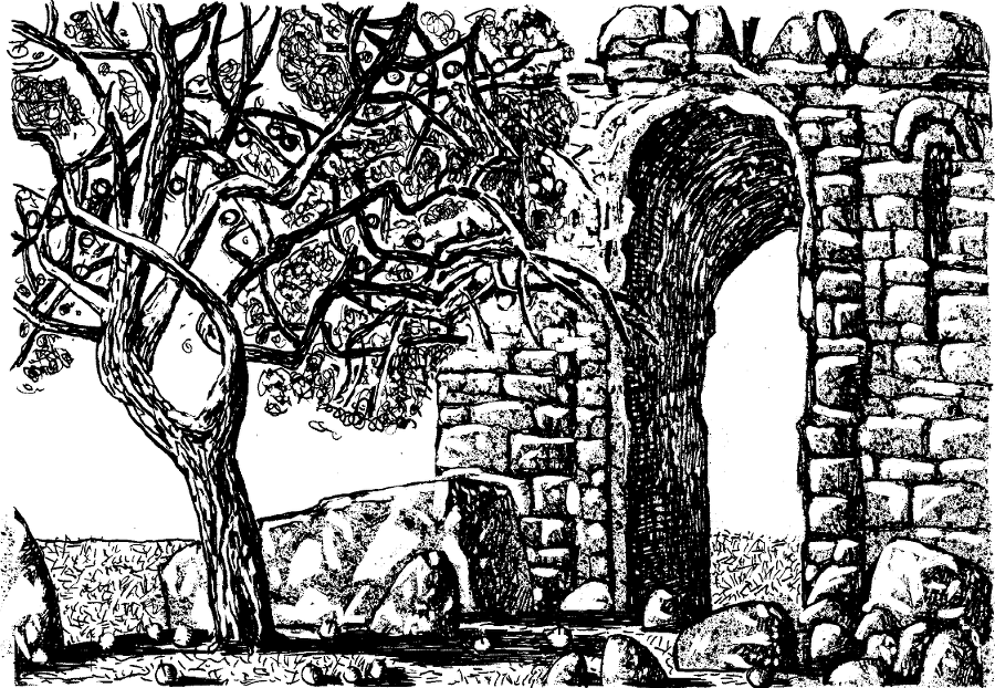Заколдованная жизнь - i_017.png
