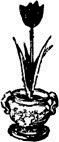Черный тюльпан(изд.1955) - image035.png