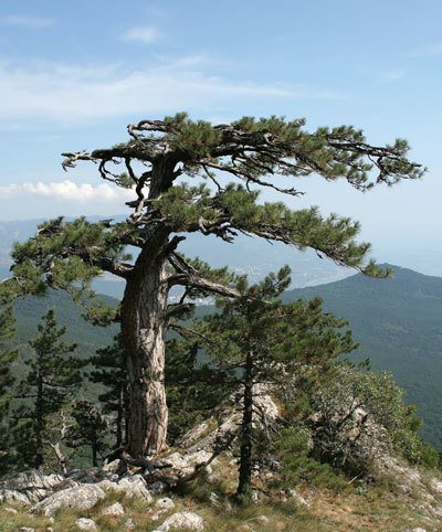 Цифровая фотография без Photoshop - i_106.jpg