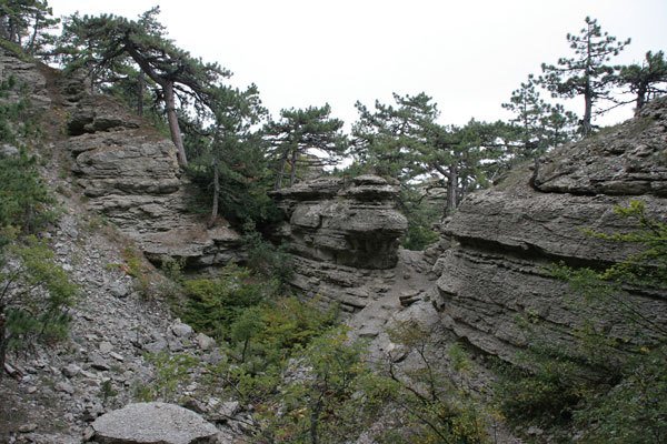 Цифровая фотография без Photoshop - i_118.jpg