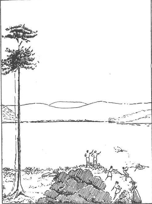 Ласточки и амазонки - i_046.jpg