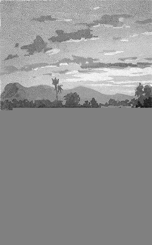 Зверобой(изд.1974) - i_004.jpg