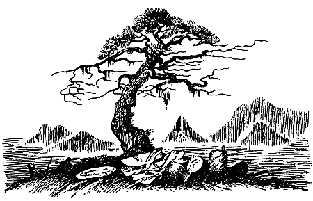 Ночная погоня(сборник) - i_021.png