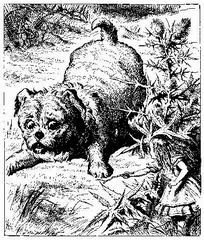Alice's adventures in Wonderland - i_013.jpg