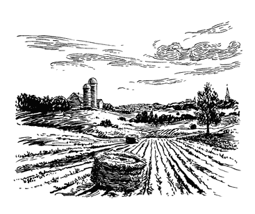 Убить пересмешника - i_015.png