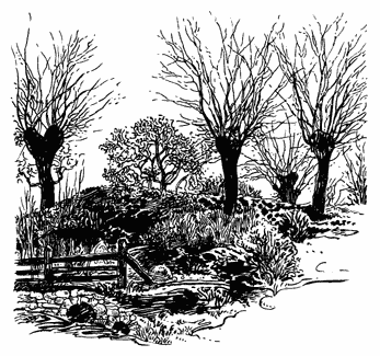 Убить пересмешника - i_046.png