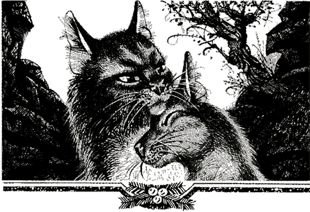 Судьба Небесного племени. Решение - i_017.png