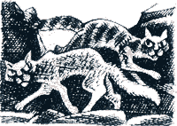 Судьба Небесного племени. Решение - i_023.png