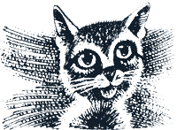 Судьба Небесного племени. Решение - i_038.png