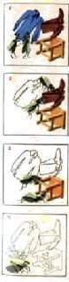 Насекомые. Пауки - i_097.jpg