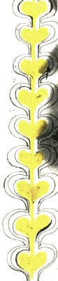 Битвы по средам - i_038.png