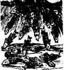 Бич и молот. Охота на ведьм в XVI-XVIII веках (с иллюстрациями) - pic_221.jpg