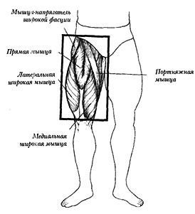Новая энциклопедия бодибилдинга. Кн.3. Упражнения - _40.jpg