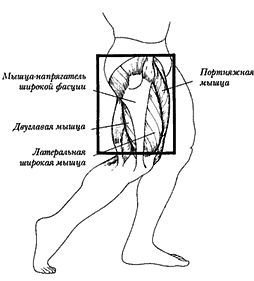 Новая энциклопедия бодибилдинга. Кн.3. Упражнения - _42.jpg