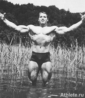Новая энциклопедия бодибилдинга. Кн.3. Упражнения - _405.jpg