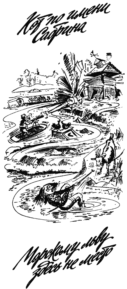 Морскому льву здесь не место - i_002.png