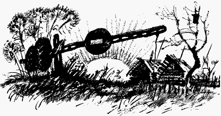 Дела и ужасы Жени Осинкиной - i_048.png
