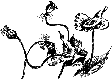 Дела и ужасы Жени Осинкиной - i_052.png