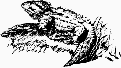 Дела и ужасы Жени Осинкиной - i_118.png