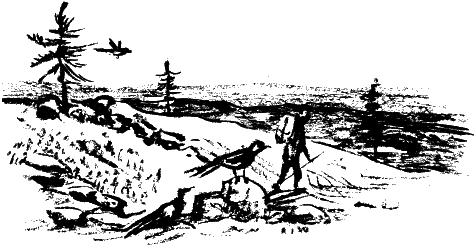 Дела и ужасы Жени Осинкиной - i_119.png