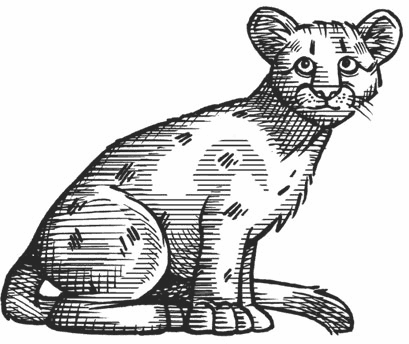 В жерле вулкана - i_027.png