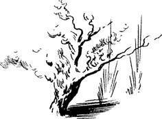 Мифогенная любовь каст, том 1 - image31.jpeg
