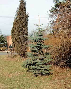 Дальний Восток. Путеводитель - i_042.jpg
